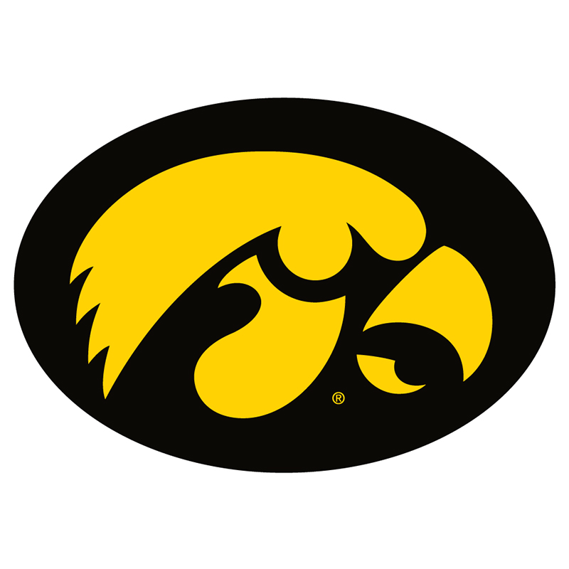 Iowa Hawkeyes iron ons